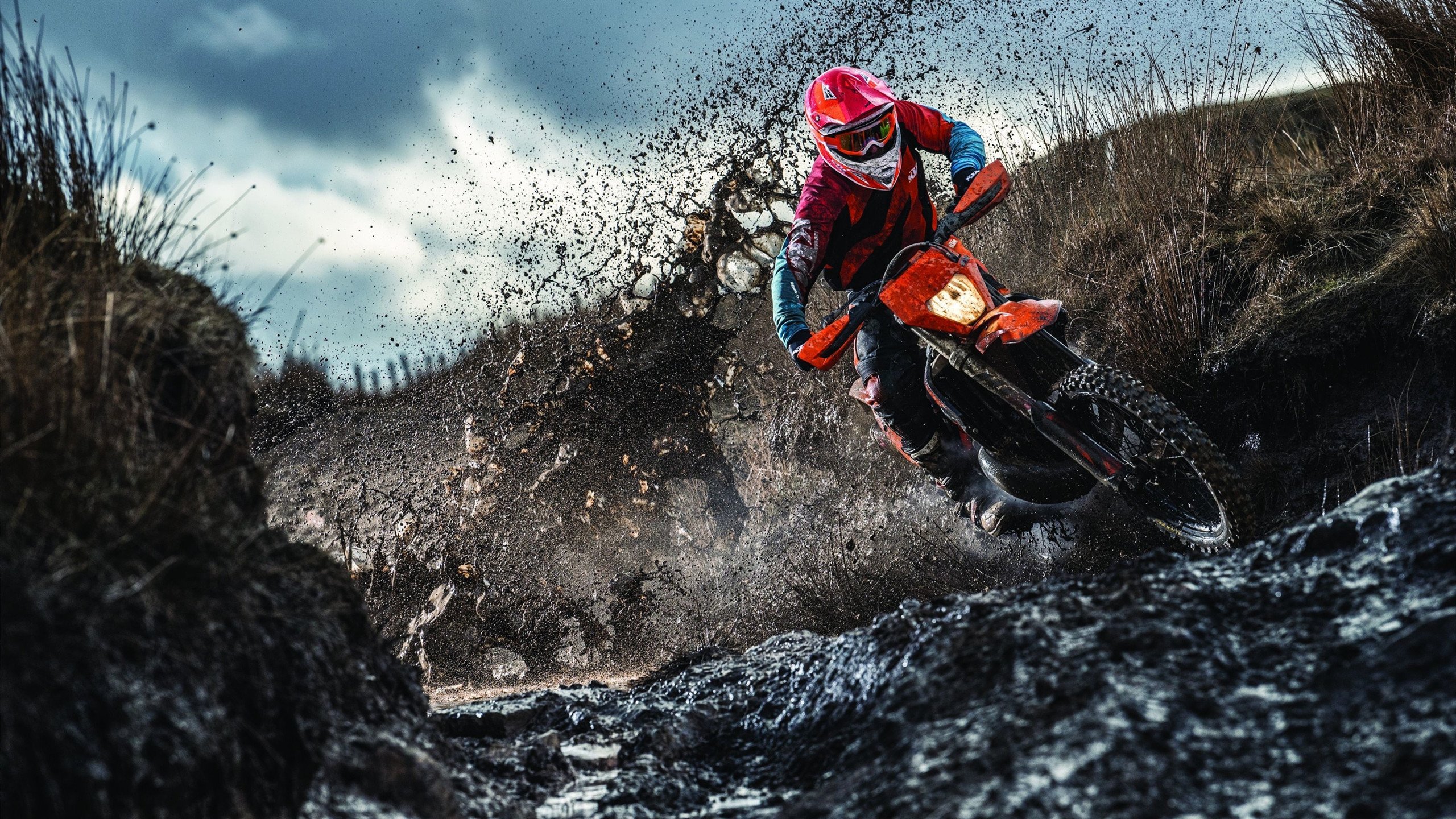 电竞高校邀请赛决赛夜万人在线围观，高校电竞联盟挑战赛全国总决赛